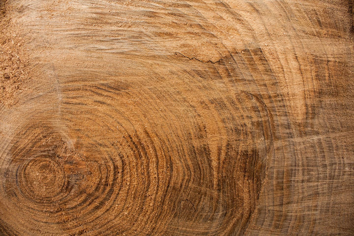 wood background