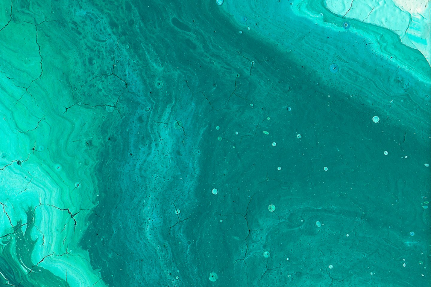 Teal paint